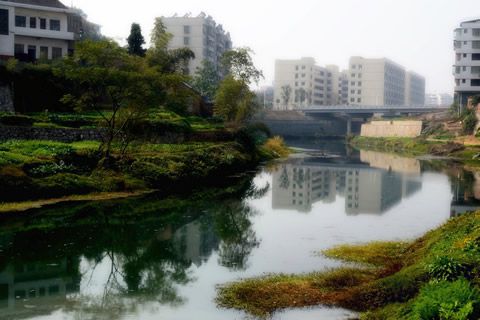 『隨華全，觀天下』 ——走進漣水