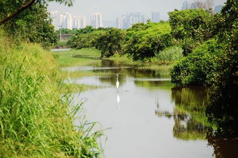 華全發電機組點贊！香港將建最大堆填沼氣發電工程