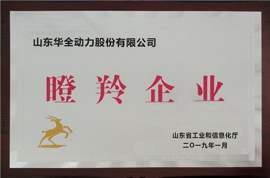 華全集團(tuán)被評為山東省瞪羚企業(yè)