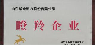 新春將至，喜報(bào)頻傳！華全集團(tuán)被認(rèn)定為山東省瞪羚企業(yè)！